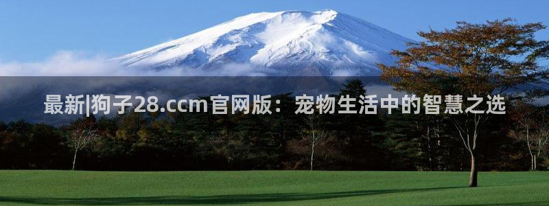 壹号app下载