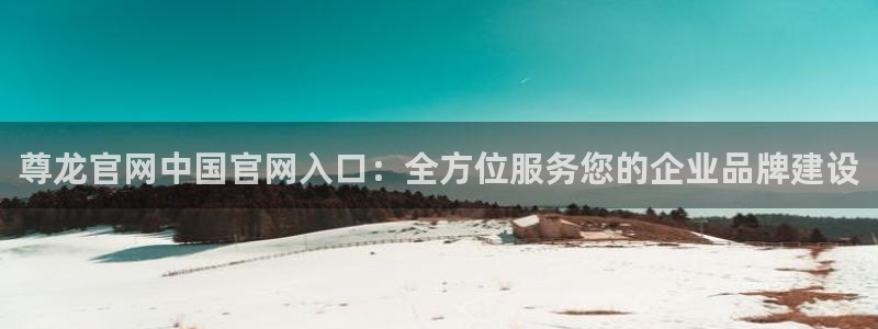 壹号国际app免费下载安装：尊龙官网中国官网入口：全方位服务您的企业品牌建设