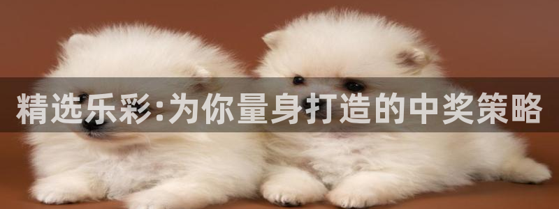 壹号娱乐下载：精选乐彩:为你量身打造的中奖策略