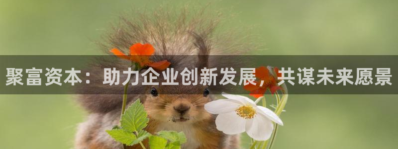 壹号娱乐app网页入口：聚富资本：助力企业创新发展，共谋未来愿景