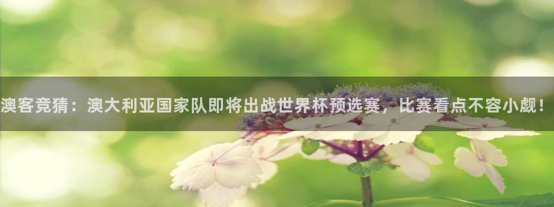 壹号娱乐官网下载：澳客竞猜：澳大利亚国家队即将出战世界杯预选赛，比赛看点不容小觑！